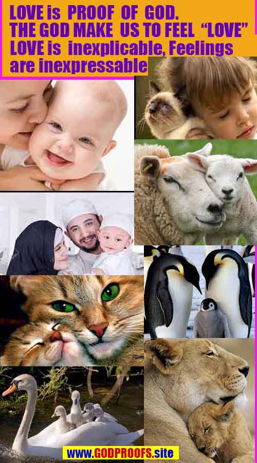 what are proofs of god?, proofs of god, proof of god, proofs-god, god-proof, god-proofs, god evidences, evidences of god, evidences god, god exists proofs, god is real proofs