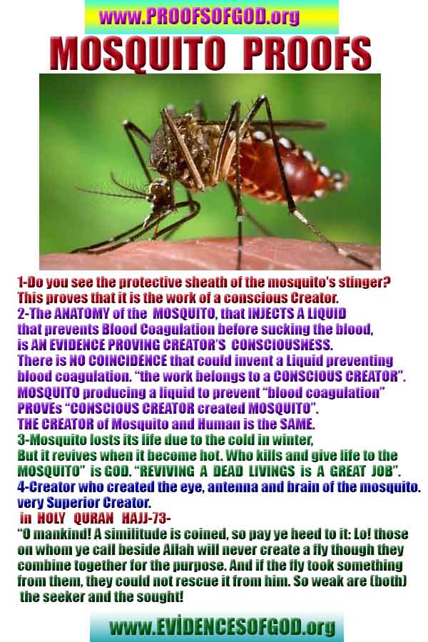 what are proofs of god?, proofs of god, proof of god, proofs-god, god-proof, god-proofs, god evidences, evidences of god, evidences god, god exists proofs, god is real proofs