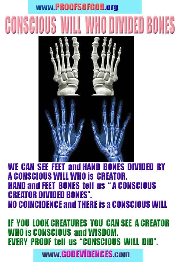 what are proofs of god?, proofs of god, proof of god, proofs-god, god-proof, god-proofs, god evidences, evidences of god, evidences god, god exists proofs, god is real proofs