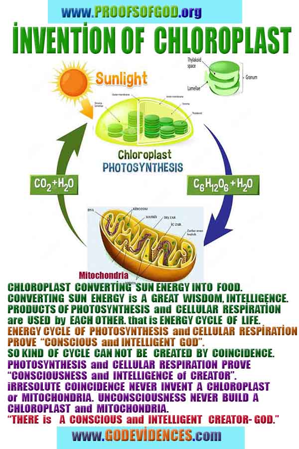 what are proofs of god?, proofs of god, proof of god, proofs-god, god-proof, god-proofs, god evidences, evidences of god, evidences god, god exists proofs, god is real proofs