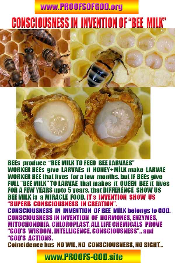 what are proofs of god?, proofs of god, proof of god, proofs-god, god-proof, god-proofs, god evidences, evidences of god, evidences god, god exists proofs, god is real proofs