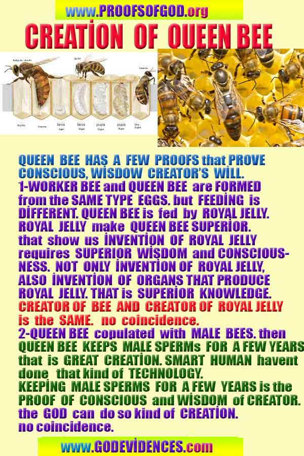 what are proofs of god?, proofs of god, proof of god, proofs-god, god-proof, god-proofs, god evidences, evidences of god, evidences god, god exists proofs, god is real proofs