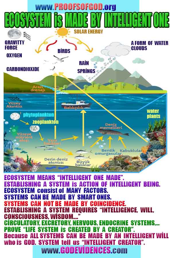 what are proofs of god?, proofs of god, proof of god, proofs-god, god-proof, god-proofs, god evidences, evidences of god, evidences god, god exists proofs, god is real proofs