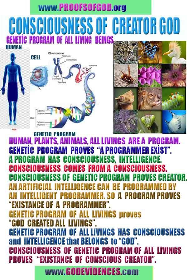 what are proofs of god?, proofs of god, proof of god, proofs-god, god-proof, god-proofs, god evidences, evidences of god, evidences god, god exists proofs, god is real proofs
