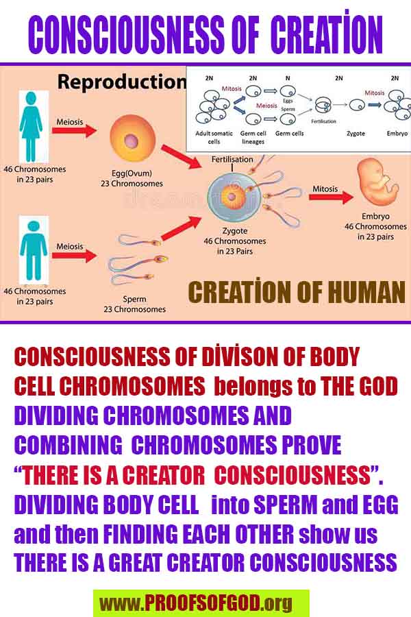 what are proofs of god?, proofs of god, proof of god, proofs-god, god-proof, god-proofs, god evidences, evidences of god, evidences god, god exists proofs, god is real proofs