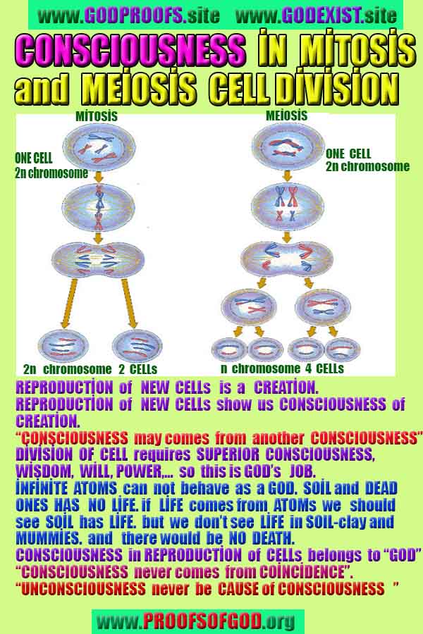 what are proofs of god?, proofs of god, proof of god, proofs-god, god-proof, god-proofs, god evidences, evidences of god, evidences god, god exists proofs, god is real proofs