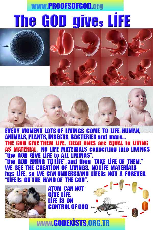 what are proofs of god?, proofs of god, proof of god, proofs-god, god-proof, god-proofs, god evidences, evidences of god, evidences god, god exists proofs, god is real proofs