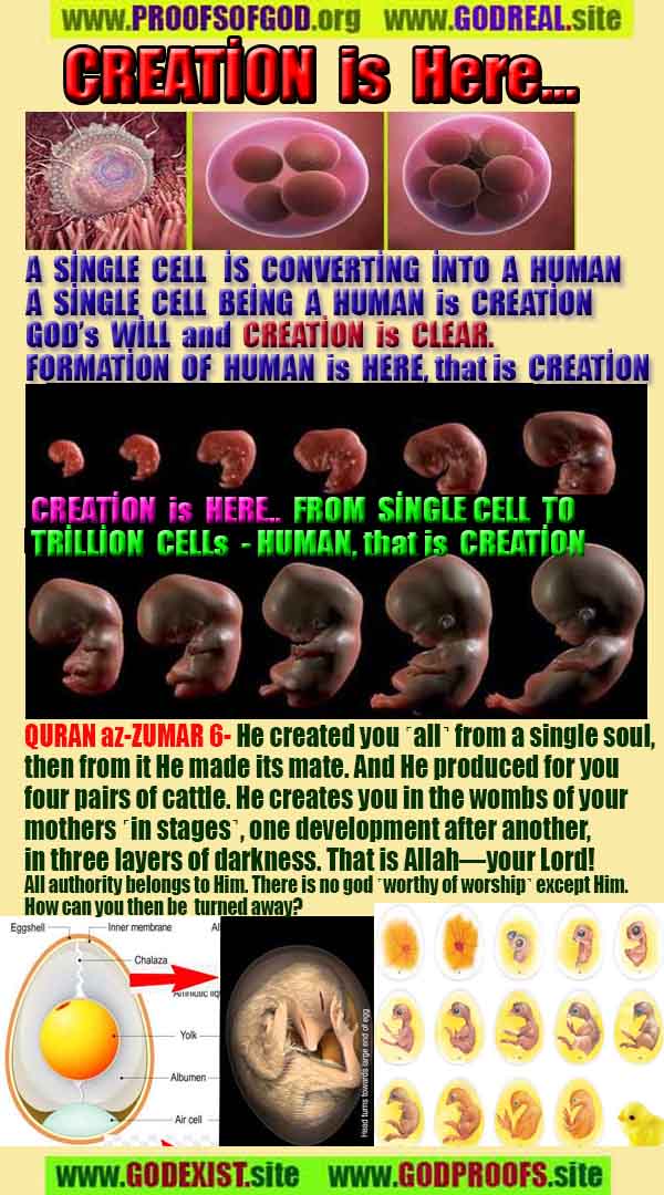 what are proofs of god?, proofs of god, proof of god, proofs-god, god-proof, god-proofs, god evidences, evidences of god, evidences god, god exists proofs, god is real proofs