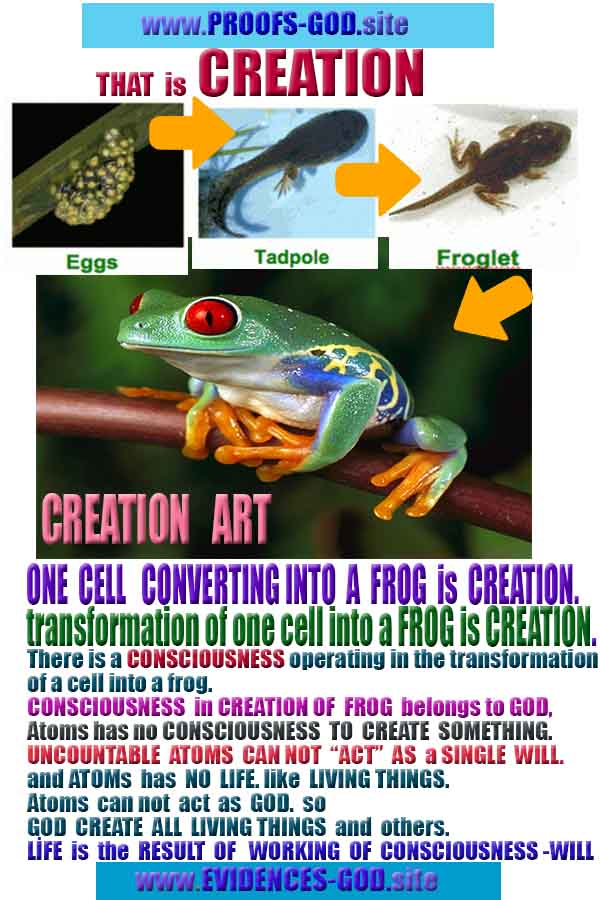 what are proofs of god?, proofs of god, proof of god, proofs-god, god-proof, god-proofs, god evidences, evidences of god, evidences god, god exists proofs, god is real proofs