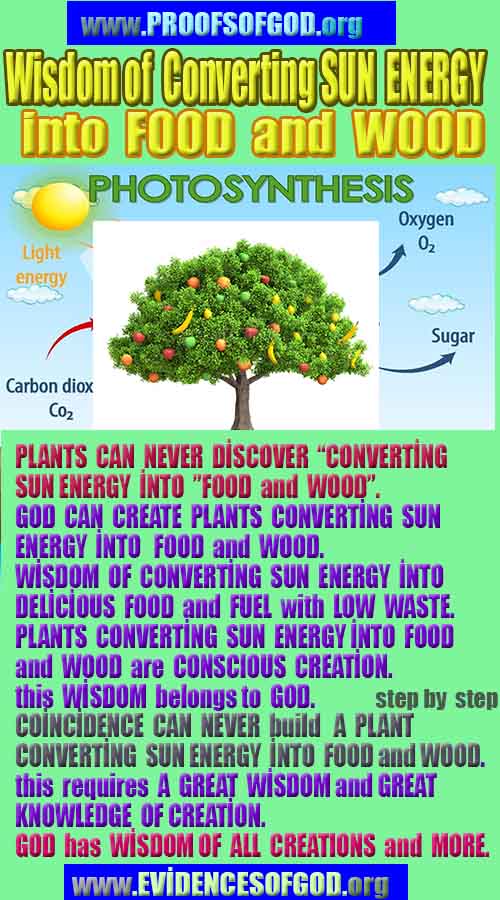 what are proofs of god?, proofs of god, proof of god, proofs-god, god-proof, god-proofs, god evidences, evidences of god, evidences god, god exists proofs, god is real proofs