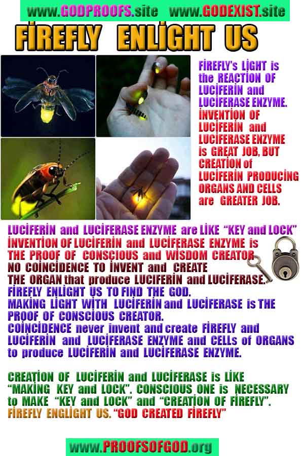 what are proofs of god?, proofs of god, proof of god, proofs-god, god-proof, god-proofs, god evidences, evidences of god, evidences god, god exists proofs, god is real proofs