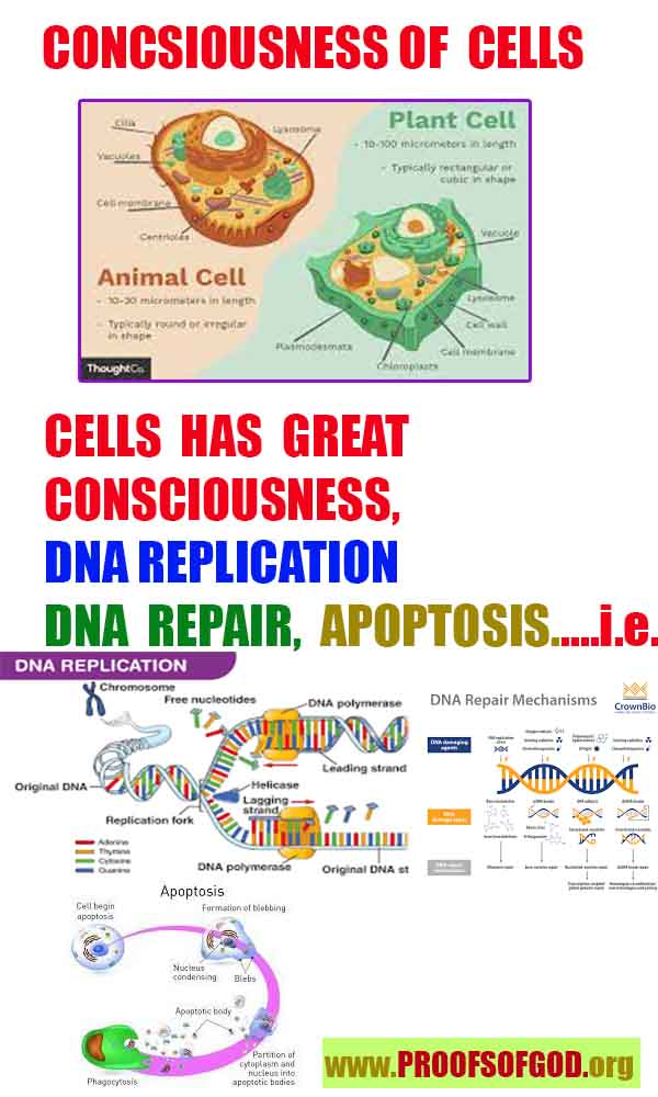 what are proofs of god?, proofs of god, proof of god, proofs-god, god-proof, god-proofs, god evidences, evidences of god, evidences god, god exists proofs, god is real proofs