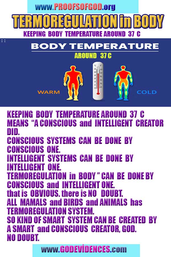 what are proofs of god?, proofs of god, proof of god, proofs-god, god-proof, god-proofs, god evidences, evidences of god, evidences god, god exists proofs, god is real proofs