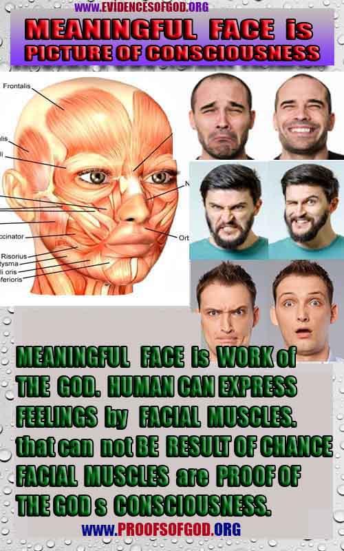 what are proofs of god?, proofs of god, proof of god, proofs-god, god-proof, god-proofs, god evidences, evidences of god, evidences god, god exists proofs, god is real proofs