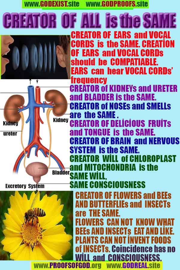 what are proofs of god?, proofs of god, proof of god, proofs-god, god-proof, god-proofs, god evidences, evidences of god, evidences god, god exists proofs, god is real proofs