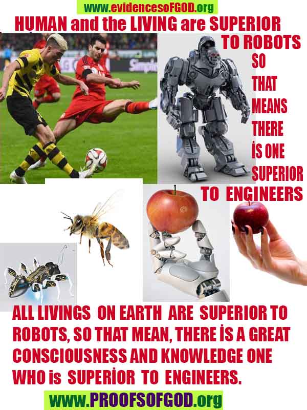 what are proofs of god?, proofs of god, proof of god, proofs-god, god-proof, god-proofs, god evidences, evidences of god, evidences god, god exists proofs, god is real proofs
