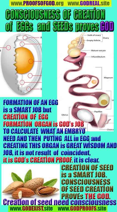 what are proofs of god?, proofs of god, proof of god, proofs-god, god-proof, god-proofs, god evidences, evidences of god, evidences god, god exists proofs, god is real proofs