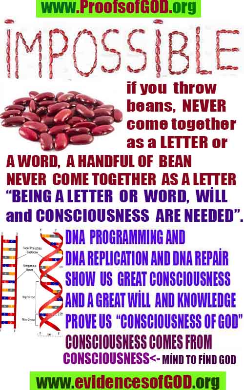 what are proofs of god?, proofs of god, proof of god, proofs-god, god-proof, god-proofs, god evidences, evidences of god, evidences god, god exists proofs, god is real proofs