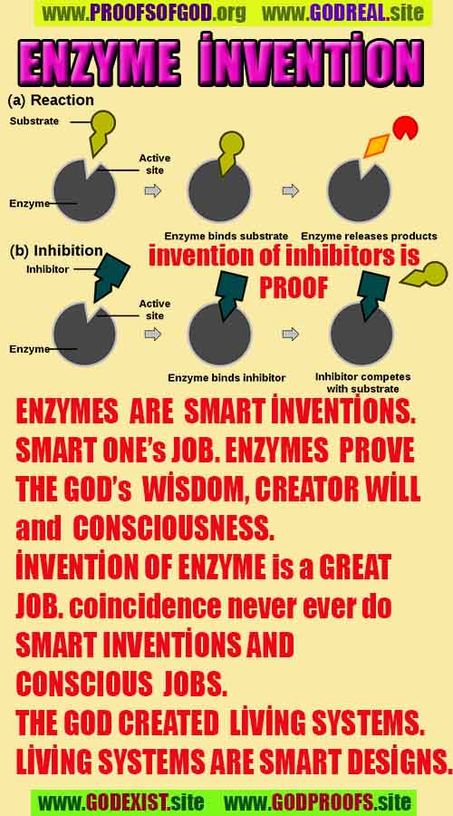 what are proofs of god?, proofs of god, proof of god, proofs-god, god-proof, god-proofs, god evidences, evidences of god, evidences god, god exists proofs, god is real proofs