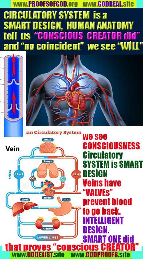 what are proofs of god?, proofs of god, proof of god, proofs-god, god-proof, god-proofs, god evidences, evidences of god, evidences god, god exists proofs, god is real proofs