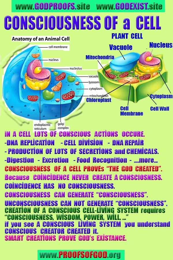 what are proofs of god?, proofs of god, proof of god, proofs-god, god-proof, god-proofs, god evidences, evidences of god, evidences god, god exists proofs, god is real proofs