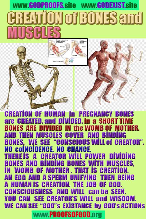 what are proofs of god?, proofs of god, proof of god, proofs-god, god-proof, god-proofs, god evidences, evidences of god, evidences god, god exists proofs, god is real proofs