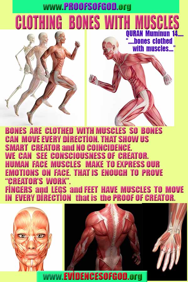 what are proofs of god?, proofs of god, proof of god, proofs-god, god-proof, god-proofs, god evidences, evidences of god, evidences god, god exists proofs, god is real proofs