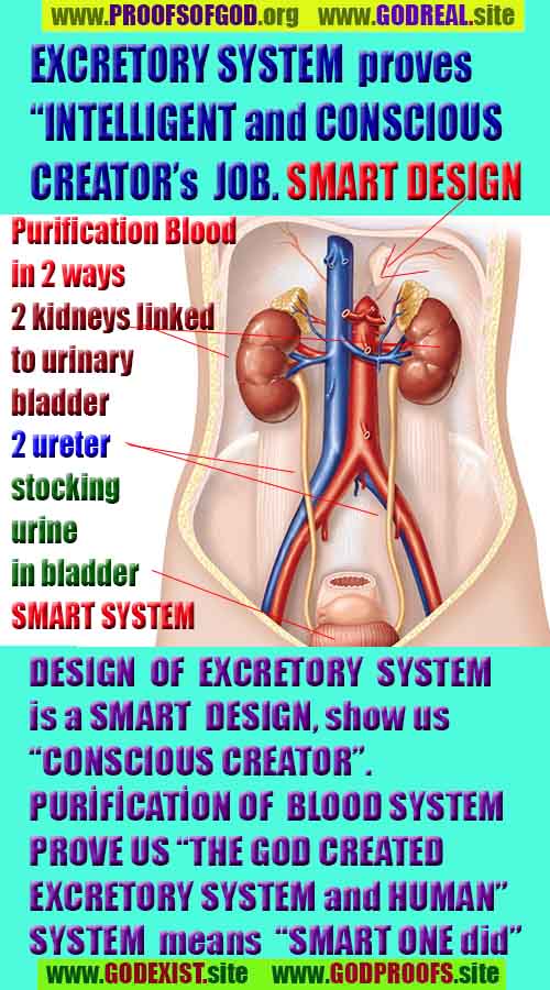 what are proofs of god?, proofs of god, proof of god, proofs-god, god-proof, god-proofs, god evidences, evidences of god, evidences god, god exists proofs, god is real proofs