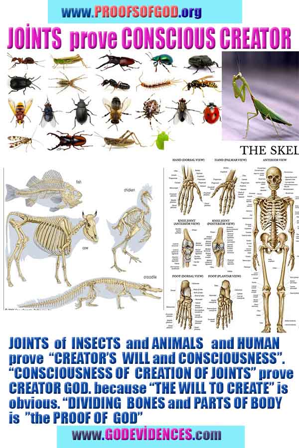 what are proofs of god?, proofs of god, proof of god, proofs-god, god-proof, god-proofs, god evidences, evidences of god, evidences god, god exists proofs, god is real proofs