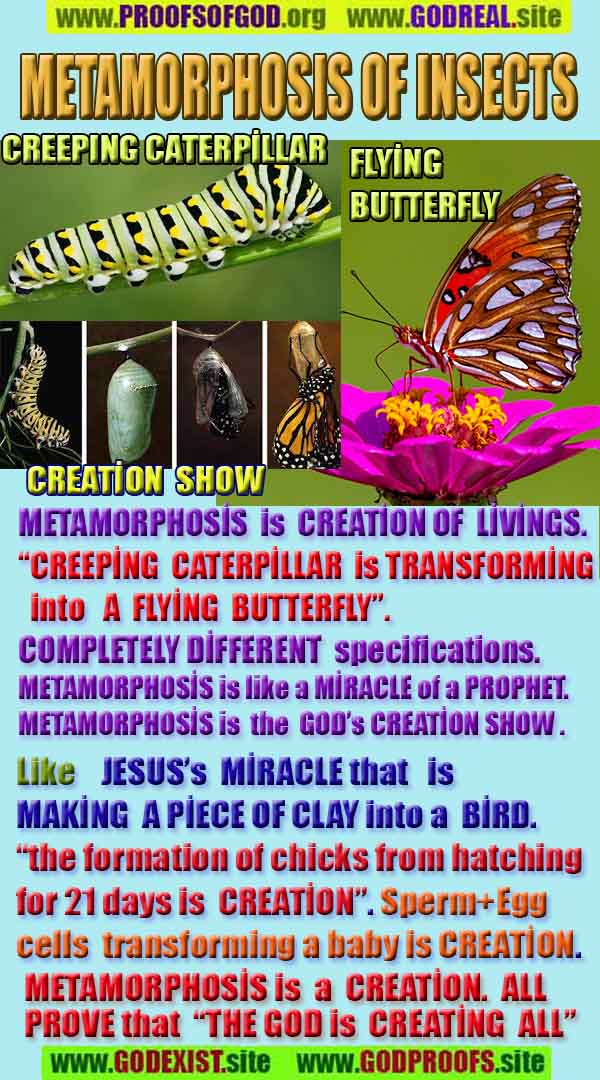 what are proofs of god?, proofs of god, proof of god, proofs-god, god-proof, god-proofs, god evidences, evidences of god, evidences god, god exists proofs, god is real proofs