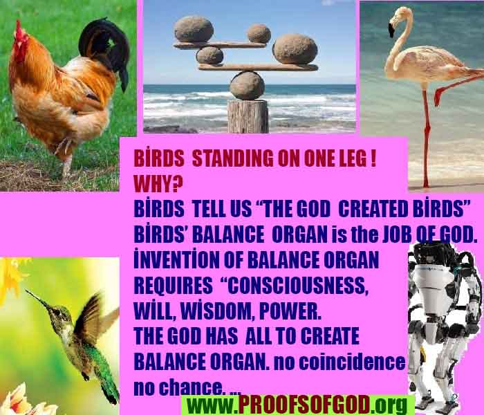 what are proofs of god?, proofs of god, proof of god, proofs-god, god-proof, god-proofs, god evidences, evidences of god, evidences god, god exists proofs, god is real proofs