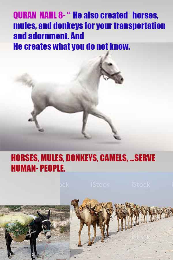 what are proofs of god?, proofs of god, proof of god, proofs-god, god-proof, god-proofs, god evidences, evidences of god, evidences god, god exists proofs, god is real proofs
