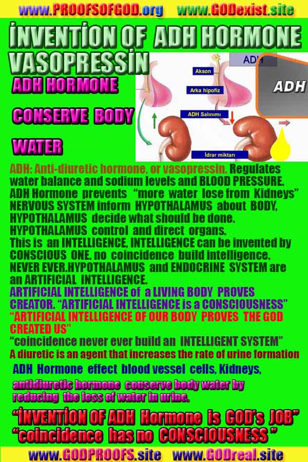 what are proofs of god?, proofs of god, proof of god, proofs-god, god-proof, god-proofs, god evidences, evidences of god, evidences god, god exists proofs, god is real proofs