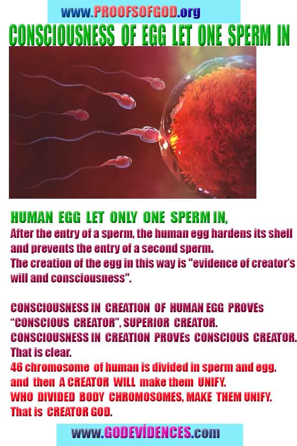 what are proofs of god?, proofs of god, proof of god, proofs-god, god-proof, god-proofs, god evidences, evidences of god, evidences god, god exists proofs, god is real proofs
