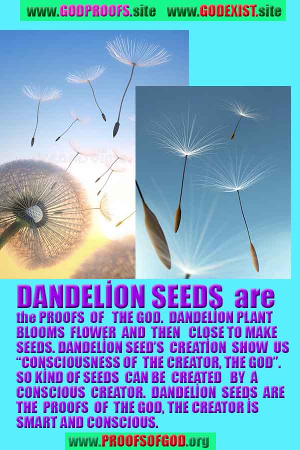 what are proofs of god?, proofs of god, proof of god, proofs-god, god-proof, god-proofs, god evidences, evidences of god, evidences god, god exists proofs, god is real proofs