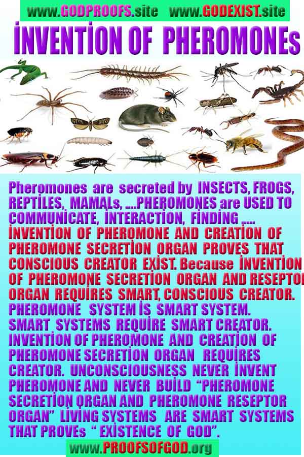 what are proofs of god?, proofs of god, proof of god, proofs-god, god-proof, god-proofs, god evidences, evidences of god, evidences god, god exists proofs, god is real proofs