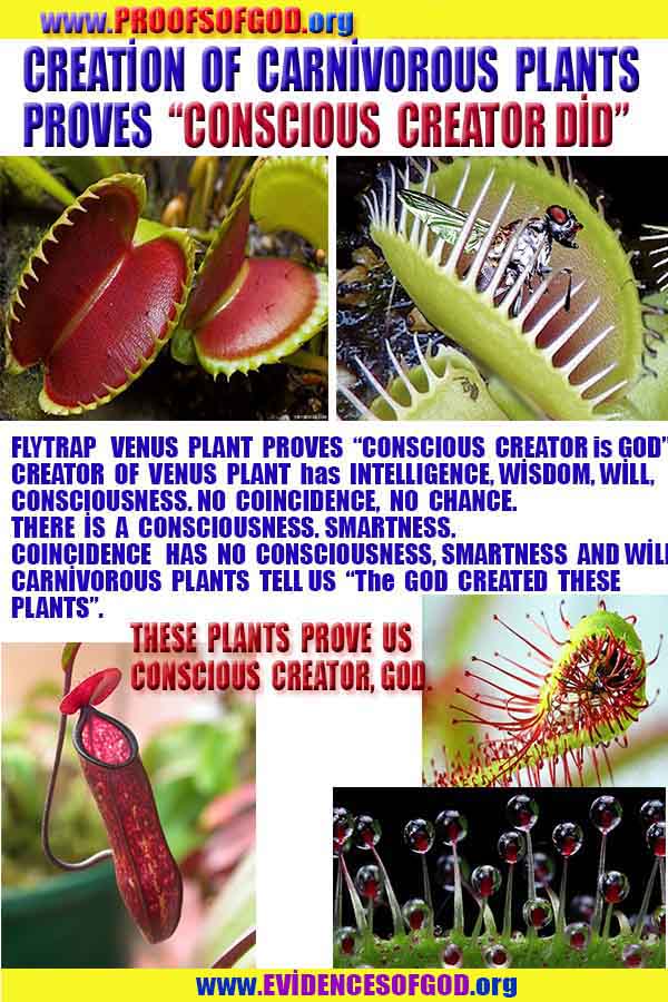 what are proofs of god?, proofs of god, proof of god, proofs-god, god-proof, god-proofs, god evidences, evidences of god, evidences god, god exists proofs, god is real proofs