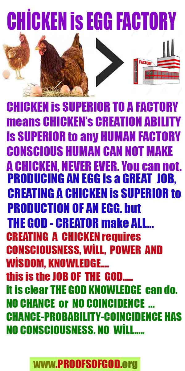 what are proofs of god?, proofs of god, proof of god, proofs-god, god-proof, god-proofs, god evidences, evidences of god, evidences god, god exists proofs, god is real proofs