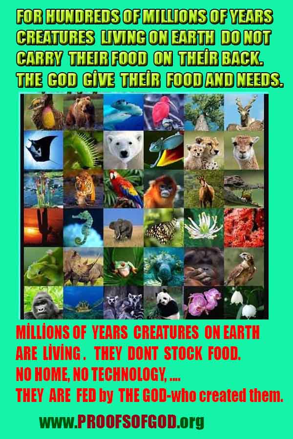 what are proofs of god?, proofs of god, proof of god, proofs-god, god-proof, god-proofs, god evidences, evidences of god, evidences god, god exists proofs, god is real proofs