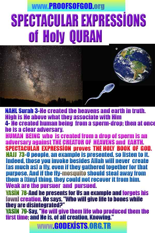 what are proofs of god?, proofs of god, proof of god, proofs-god, god-proof, god-proofs, god evidences, evidences of god, evidences god, god exists proofs, god is real proofs