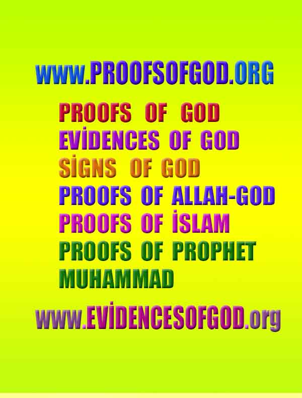 what are proofs of god?, proofs of god, proof of god, proofs-god, god-proof, god-proofs, god evidences, evidences of god, evidences god, god exists proofs, god is real proofs