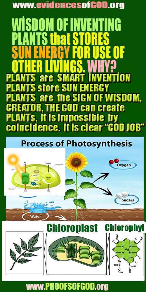 what are proofs of god?, proofs of god, proof of god, proofs-god, god-proof, god-proofs, god evidences, evidences of god, evidences god, god exists proofs, god is real proofs