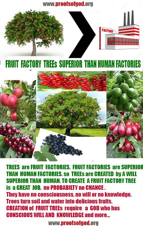 what are proofs of god?, proofs of god, proof of god, proofs-god, god-proof, god-proofs, god evidences, evidences of god, evidences god, god exists proofs, god is real proofs