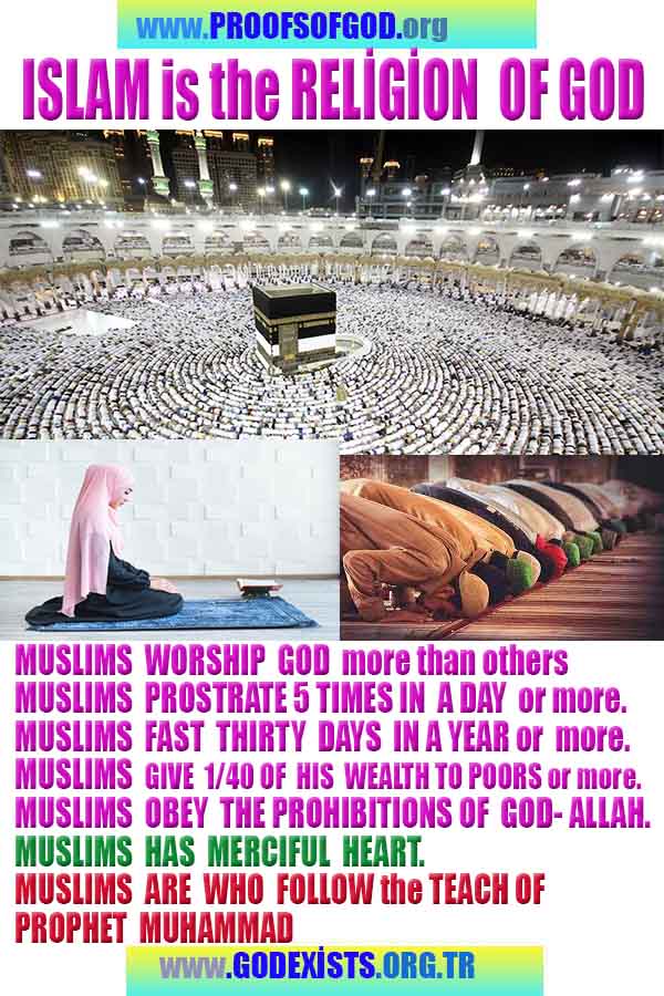 what are proofs of god?, proofs of god, proof of god, proofs-god, god-proof, god-proofs, god evidences, evidences of god, evidences god, god exists proofs, god is real proofs